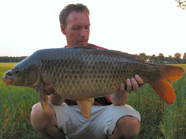 c4foto2